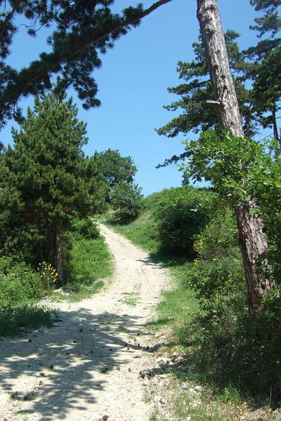 2011-05- (1535).JPG